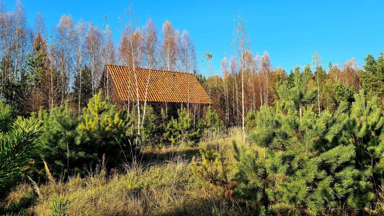 Zakole Czarnej Hanczy Tartaczysko ภายนอก รูปภาพ